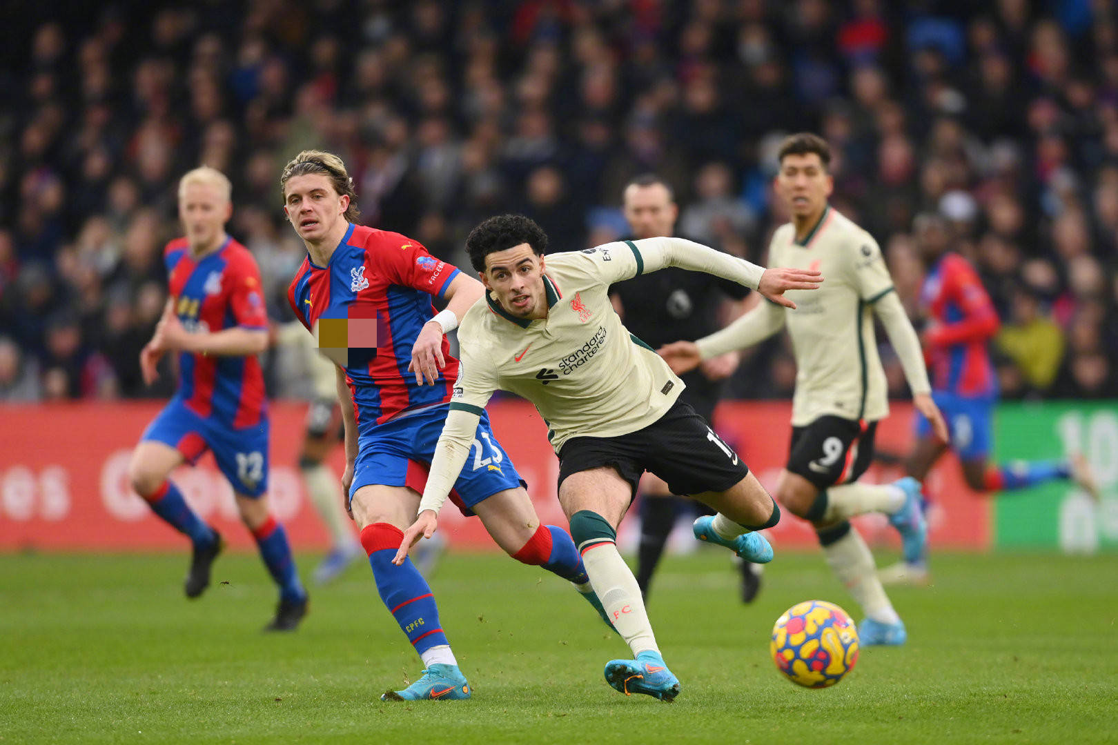 汲取養分 汲取養分